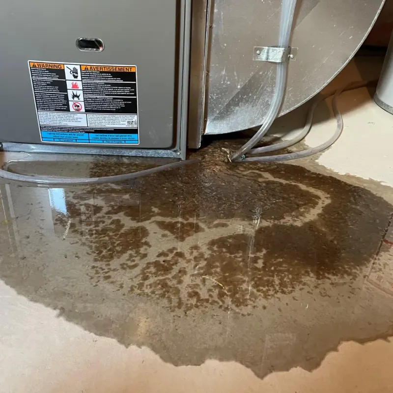 Appliance Leak Cleanup in Fairview, NC